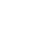 Icon Slots